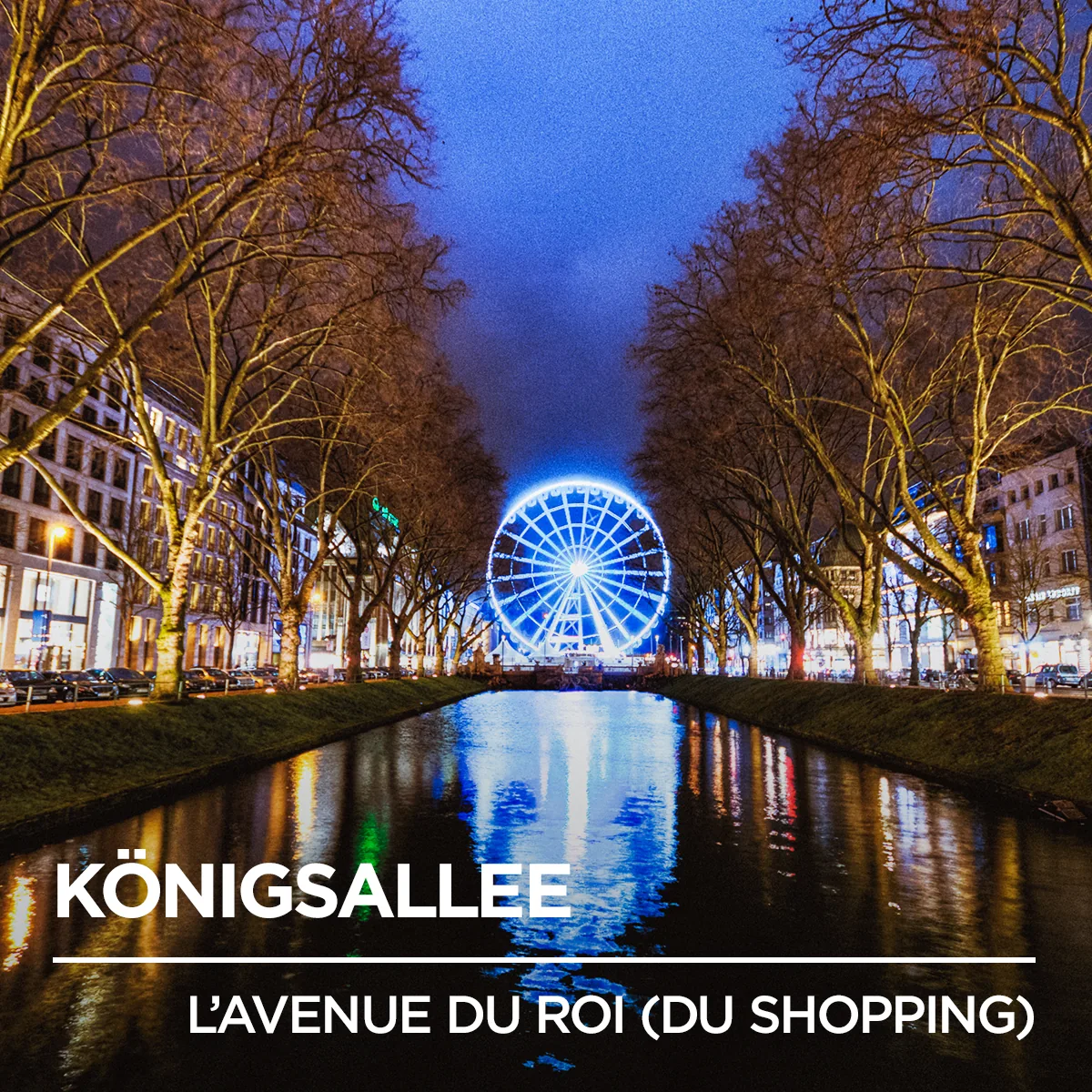 Thalys multilingual campaign 79