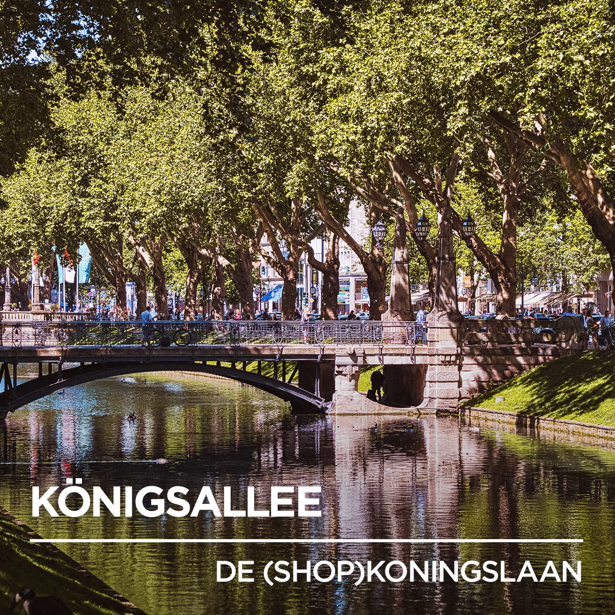 Thalys multilingual campaign 21