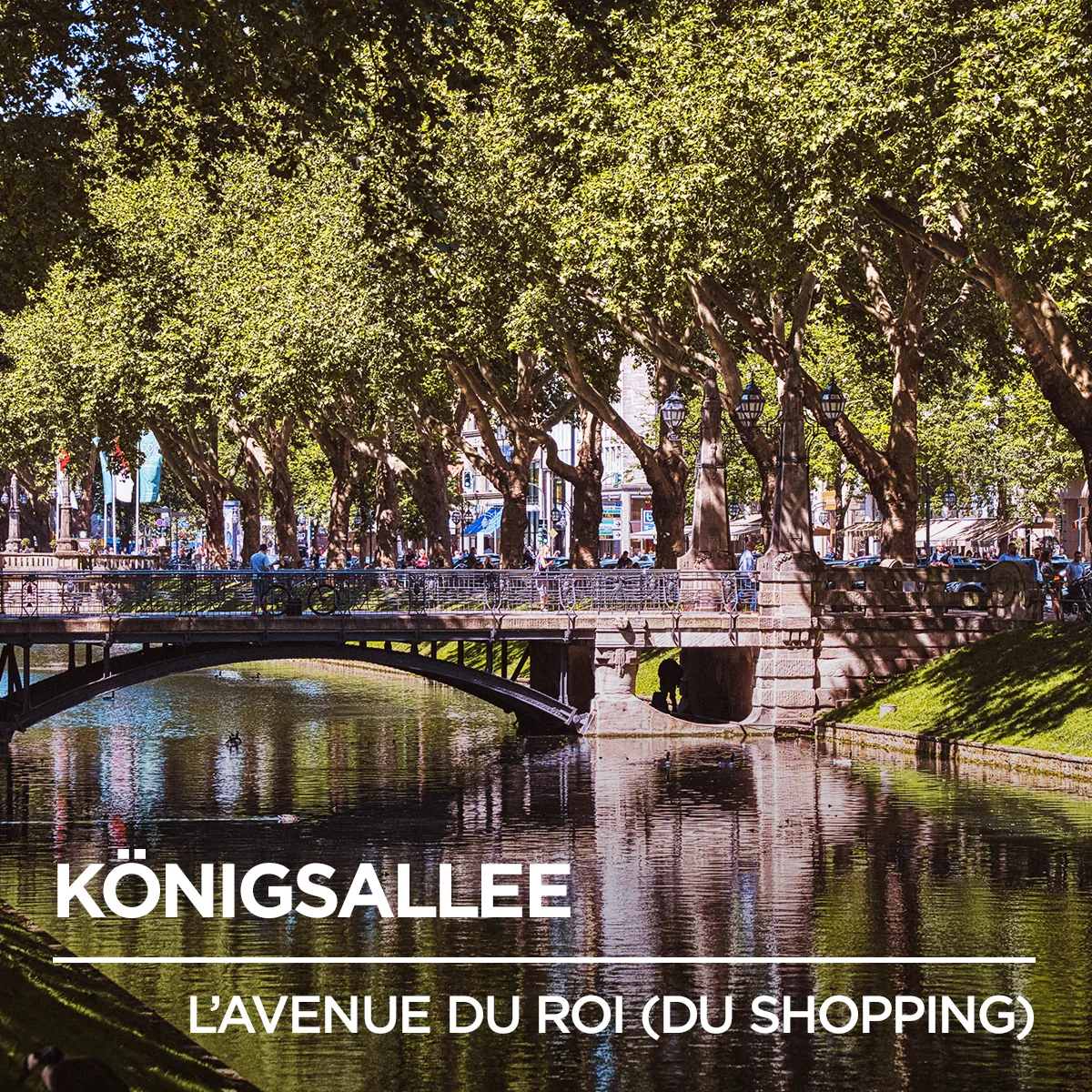 Thalys multilingual campaign 51